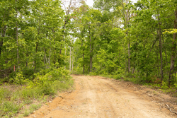 property photo for Stardust Estates Tract 10, 5.05 acres for sale in Reynolds County, Missouri
