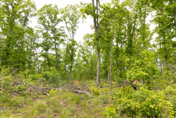 property photo for Stardust Estates Tract 10, 5.05 acres for sale in Reynolds County, Missouri