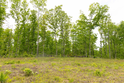 property photo for Stardust Estates Tract 10, 5.05 acres for sale in Reynolds County, Missouri