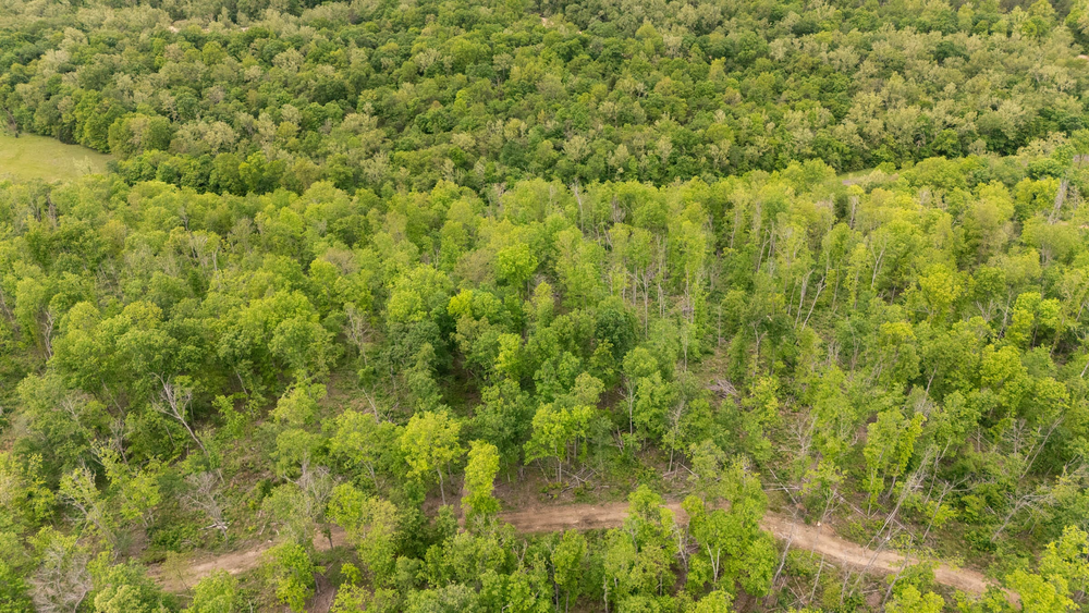 5.3 acre rural land tract for sale at Stardust Estates Tract 11 in Reynolds County, Missouri