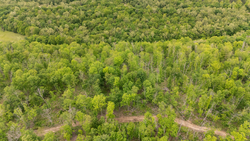 property photo for Stardust Estates Tract 11, 5.3 acres for sale in Reynolds County, Missouri
