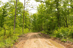 property photo for Stardust Estates Tract 12, 5.16 acres for sale in Reynolds County, Missouri