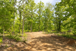 property photo for Stardust Estates Tract 13, 5.17 acres for sale in Reynolds County, Missouri