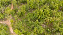 property photo for Stardust Estates Tract 13, 5.17 acres for sale in Reynolds County, Missouri