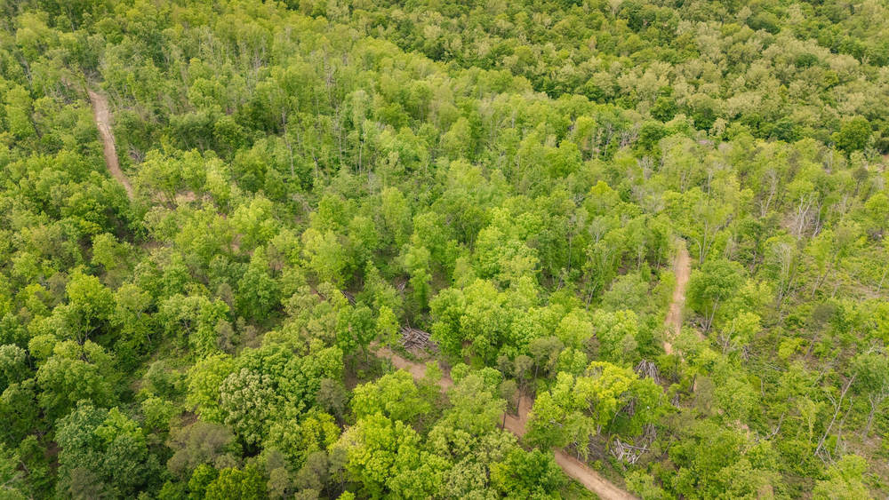 5.17 acre rural land tract for sale at Stardust Estates Tract 13 in Reynolds County, Missouri