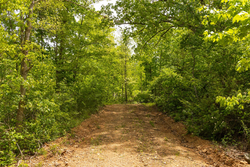 property photo for Stardust Estates Tract 14, 5.26 acres for sale in Reynolds County, Missouri