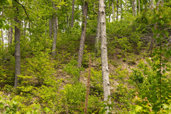 property photo for Stardust Estates Tract 14, 5.26 acres for sale in Reynolds County, Missouri