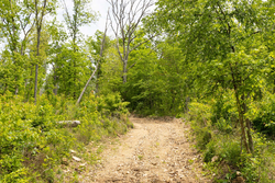 property photo for Stardust Estates Tract 14, 5.26 acres for sale in Reynolds County, Missouri