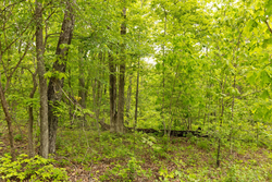 property photo for Stardust Estates Tract 15, 5.13 acres for sale in Reynolds County, Missouri