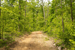 property photo for Stardust Estates Tract 15, 5.13 acres for sale in Reynolds County, Missouri