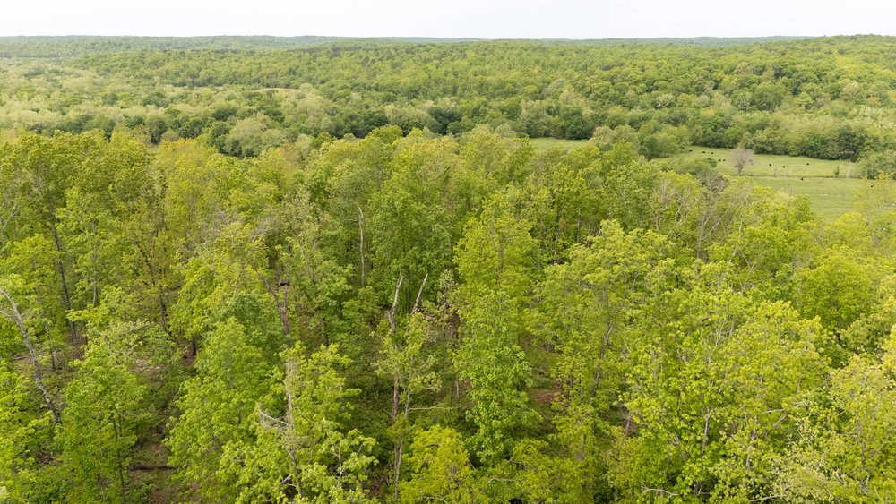 5.13 acre rural land tract for sale at Stardust Estates Tract 15 in Reynolds County, Missouri