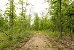 property photo for Stardust Estates Tract 18, 6.43 acres for sale in Reynolds County, Missouri