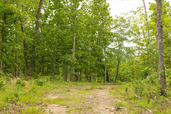 property photo for Stardust Estates Tract 18, 6.43 acres for sale in Reynolds County, Missouri