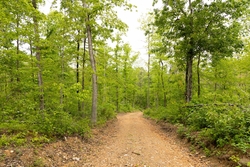 property photo for Stardust Estates Tract 2, 5.19 acres for sale in Reynolds County, Missouri