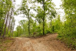property photo for Stardust Estates Tract 2, 5.19 acres for sale in Reynolds County, Missouri