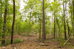 property photo for Stardust Estates Tract 2, 5.19 acres for sale in Reynolds County, Missouri