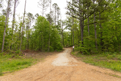 property photo for Stardust Estates Tract 2, 5.19 acres for sale in Reynolds County, Missouri