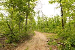 property photo for Stardust Estates Tract 23, 5.1 acres for sale in Reynolds County, Missouri