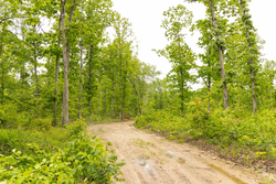 property photo for Stardust Estates Tract 23, 5.1 acres for sale in Reynolds County, Missouri