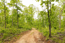 property photo for Stardust Estates Tract 23, 5.1 acres for sale in Reynolds County, Missouri
