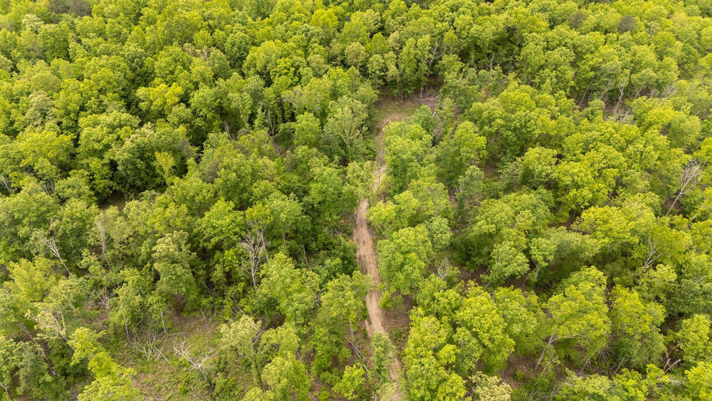 5.1 acre rural land tract for sale at Stardust Estates Tract 23 in Reynolds County, Missouri