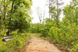 property photo for Stardust Estates Tract 24, 5.12 acres for sale in Reynolds County, Missouri