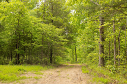 property photo for Stardust Estates Tract 24, 5.12 acres for sale in Reynolds County, Missouri