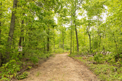 property photo for Stardust Estates Tract 24, 5.12 acres for sale in Reynolds County, Missouri
