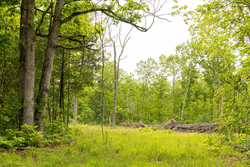 property photo for Stardust Estates Tract 24, 5.12 acres for sale in Reynolds County, Missouri