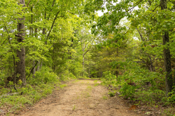 property photo for Stardust Estates Tract 24, 5.12 acres for sale in Reynolds County, Missouri