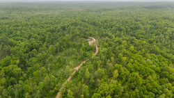 property photo for Stardust Estates Tract 24, 5.12 acres for sale in Reynolds County, Missouri