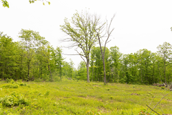 property photo for Stardust Estates Tract 24, 5.12 acres for sale in Reynolds County, Missouri