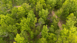 property photo for Stardust Estates Tract 24, 5.12 acres for sale in Reynolds County, Missouri