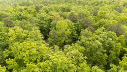 property photo for Stardust Estates Tract 24, 5.12 acres for sale in Reynolds County, Missouri