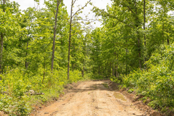 property photo for Stardust Estates Tract 26, 5.94 acres for sale in Reynolds County, Missouri