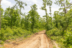 property photo for Stardust Estates Tract 26, 5.94 acres for sale in Reynolds County, Missouri