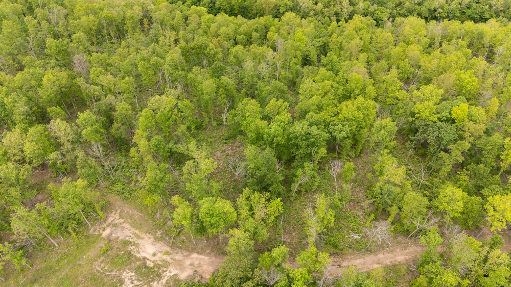 5.92 acre rural land tract for sale at Stardust Estates Tract 27 in Reynolds County, Missouri