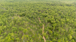 property photo for Stardust Estates Tract 29, 5.84 acres for sale in Reynolds County, Missouri