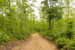property photo for Stardust Estates Tract 3, 6.05 acres for sale in Reynolds County, Missouri