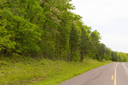 property photo for Stardust Estates Tract 3, 6.05 acres for sale in Reynolds County, Missouri