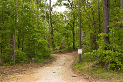 property photo for Stardust Estates Tract 3, 6.05 acres for sale in Reynolds County, Missouri