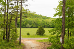 property photo for Stardust Estates Tract 3, 6.05 acres for sale in Reynolds County, Missouri