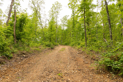 property photo for Stardust Estates Tract 3, 6.05 acres for sale in Reynolds County, Missouri