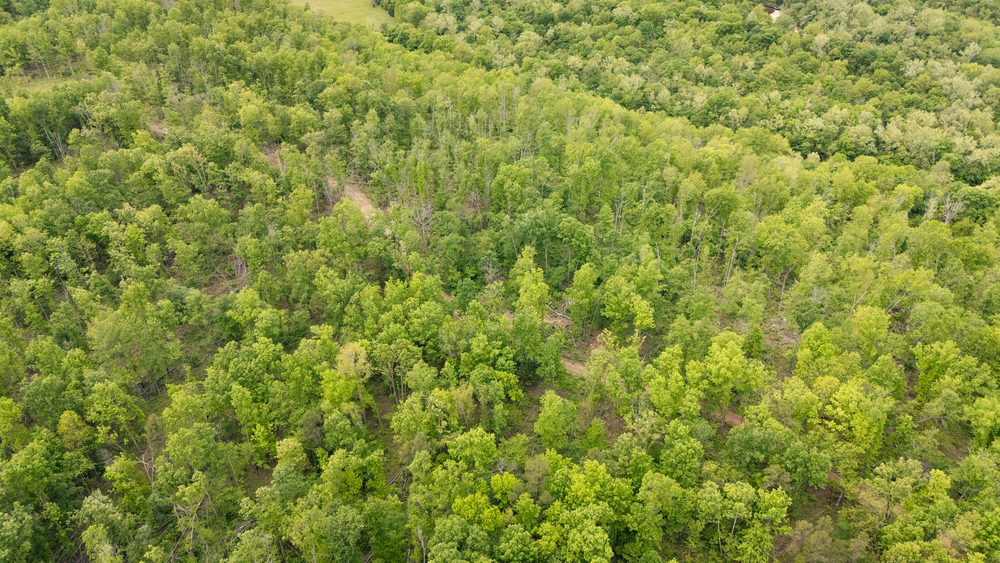 7.63 acre rural land tract for sale at Stardust Estates Tract 30 in Reynolds County, Missouri