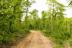 property photo for Stardust Estates Tract 31, 6.94 acres for sale in Reynolds County, Missouri