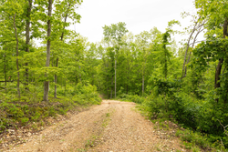 property photo for Stardust Estates Tract 31, 6.94 acres for sale in Reynolds County, Missouri