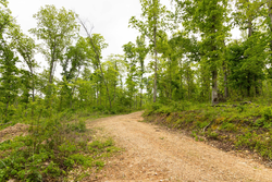 property photo for Stardust Estates Tract 31, 6.94 acres for sale in Reynolds County, Missouri