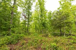 property photo for Stardust Estates Tract 32, 8.01 acres for sale in Reynolds County, Missouri