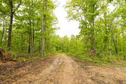 property photo for Stardust Estates Tract 32, 8.01 acres for sale in Reynolds County, Missouri
