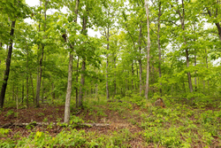 property photo for Stardust Estates Tract 32, 8.01 acres for sale in Reynolds County, Missouri
